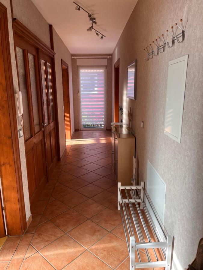 Ferienwohnung Am Bodetal Mit Wallbox Fuer E-Auto ターレ エクステリア 写真